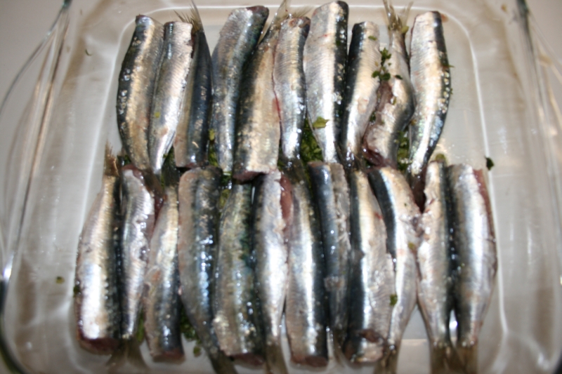 02. bandeja de las sardinas al horno en blog de fitness