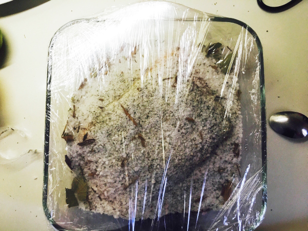 06. tapamos con film el salmón marinado en sus hierbas en blog de fitness para mujeres y blog de recetas fitness 0202